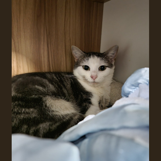 Photo of Lola