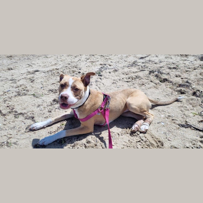 Photo of Ellie Valenti