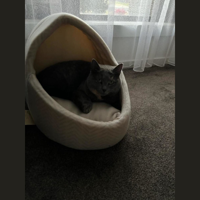 Photo of Mishka