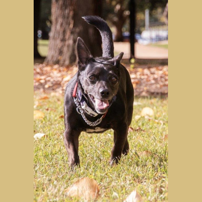 Photo of Basil Moriarty