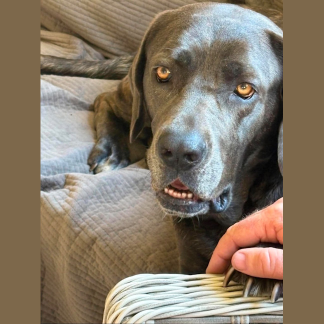 Photo of Polly