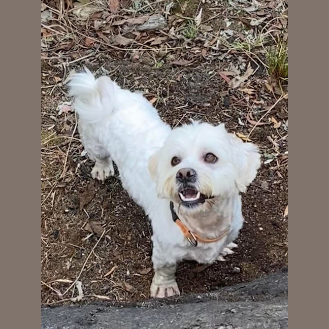 Photo of Benson Boony 