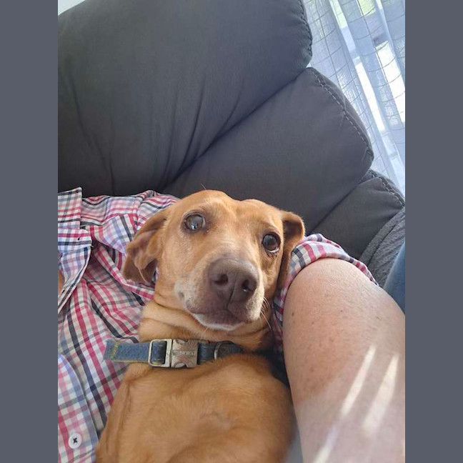 Photo of Buddy