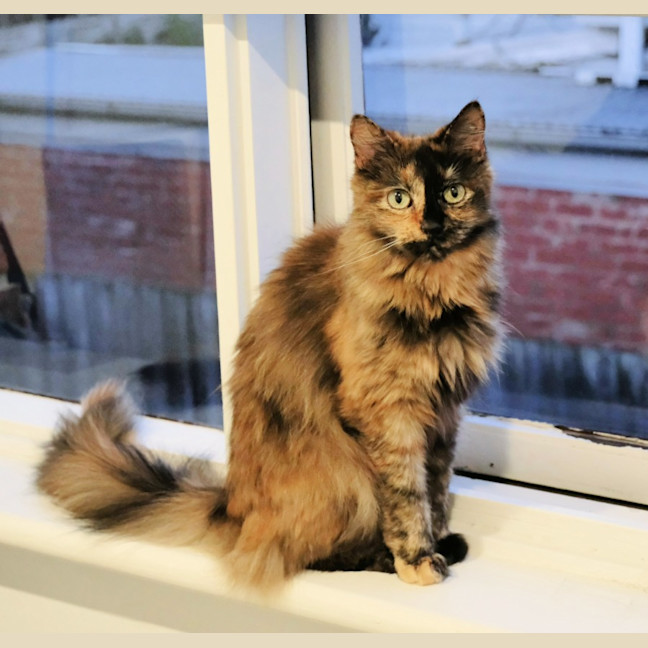 Photo of 🔮Pandora🔮