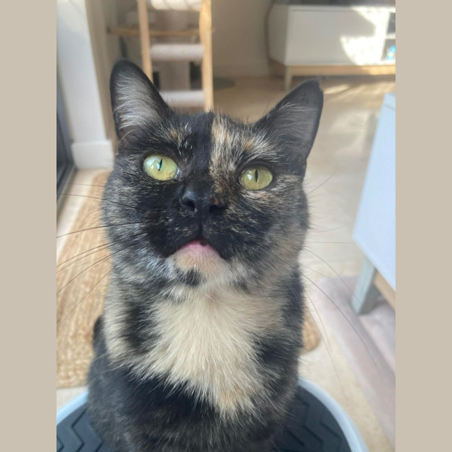 Photo of Chirp Side Park Shopping Centre