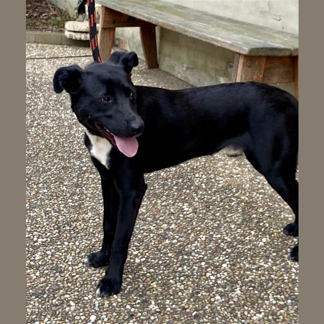 Photo of Frankie (With Dom)