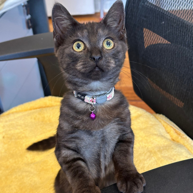 Photo of Lara