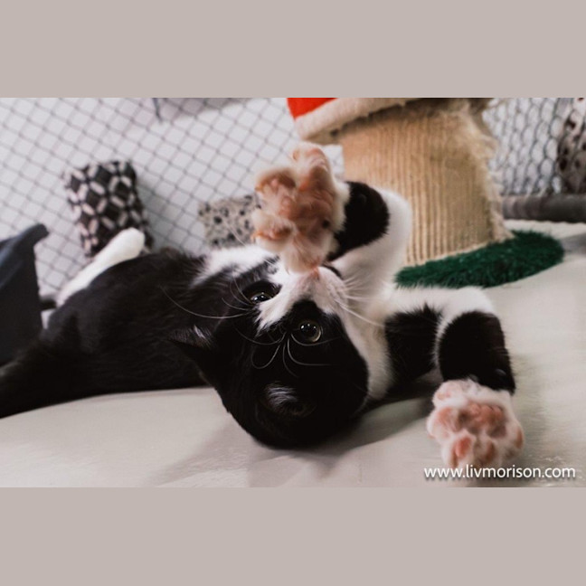 Photo of Jasper Picton