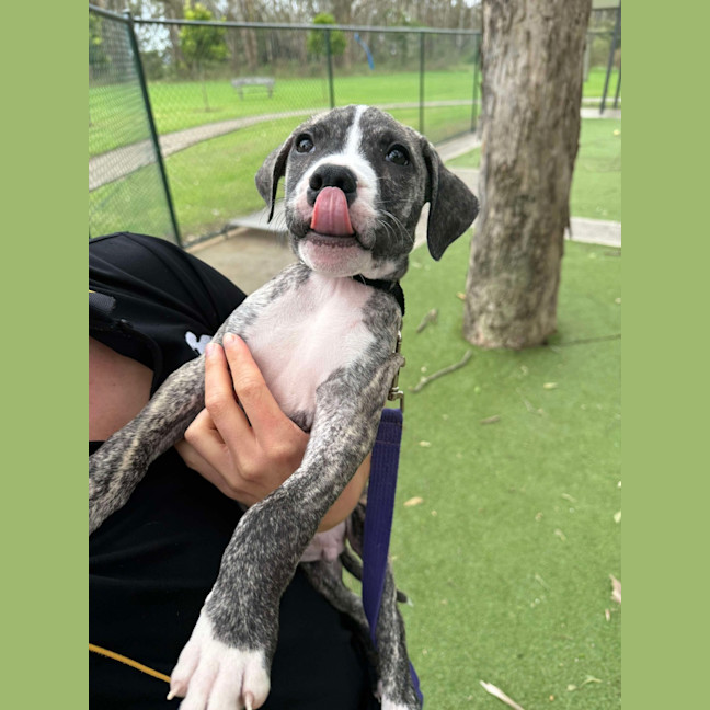 Photo of Warner Bros