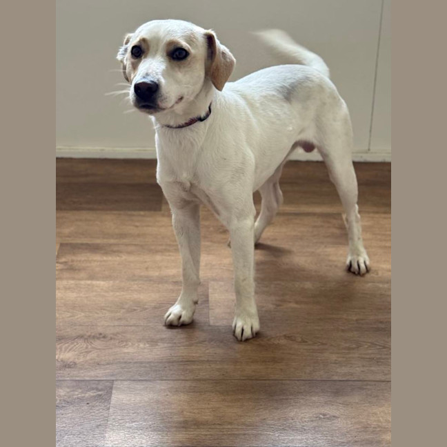 Photo of Cj (Captain Jack)