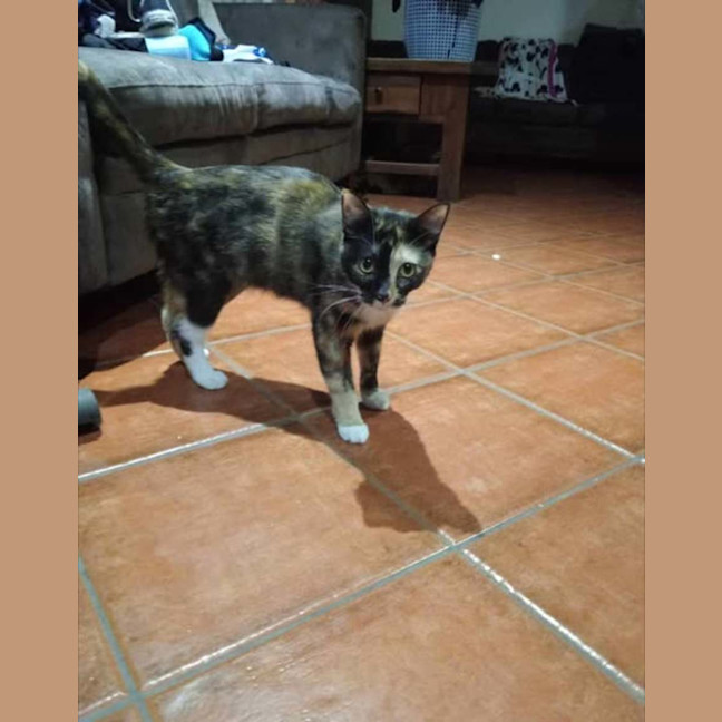 Photo of Mumma Patti 