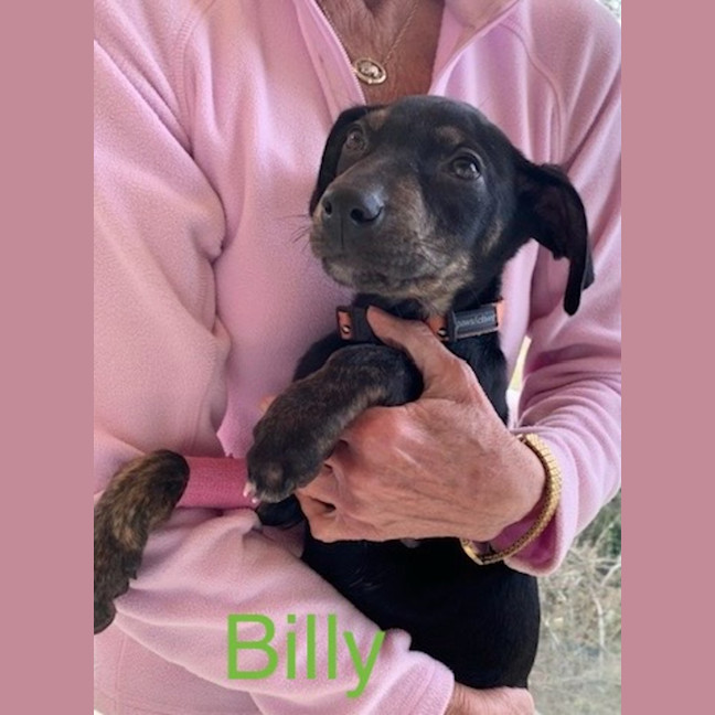 Photo of Billy