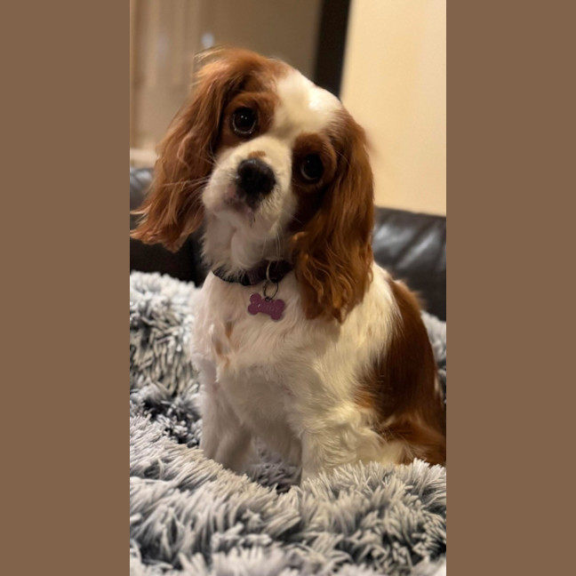 Photo of Toby And Cany Gurl 