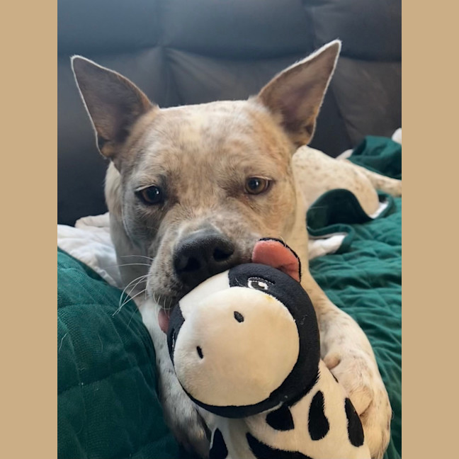 Photo of Bruce