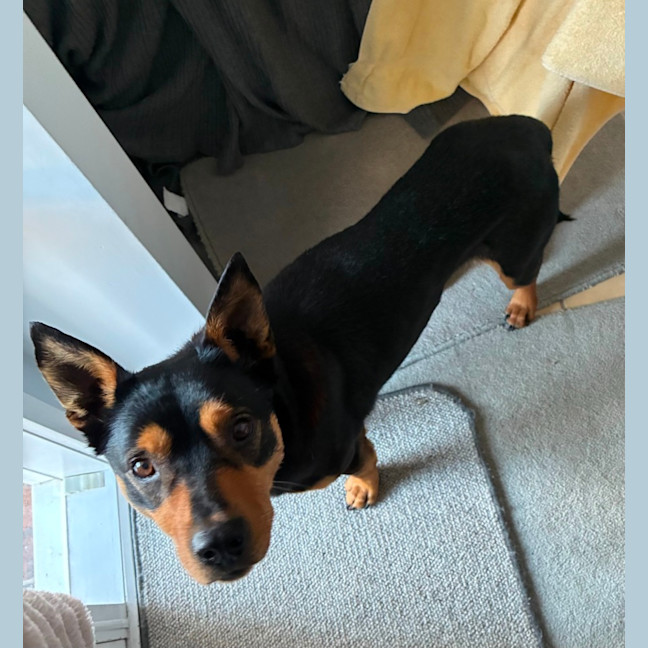 Photo of Ponzi