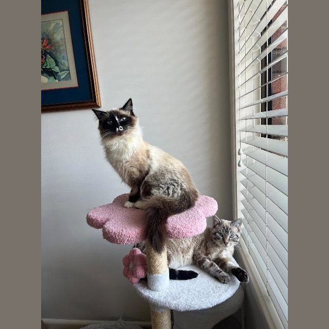 Photo of Phoebe