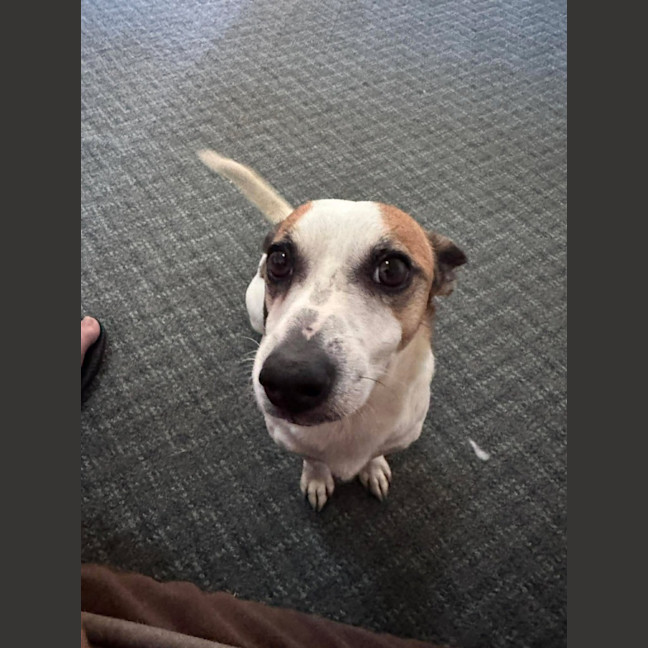 Photo of Gus