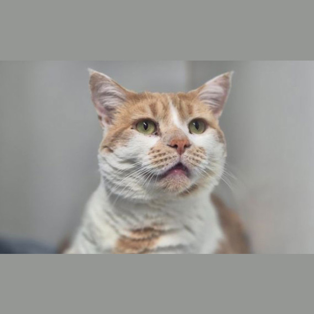 Photo of Morty