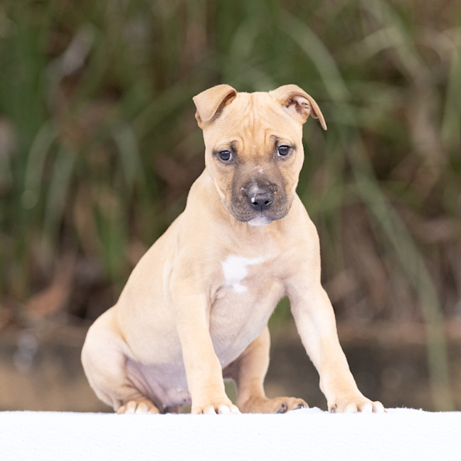Photo of Winnie