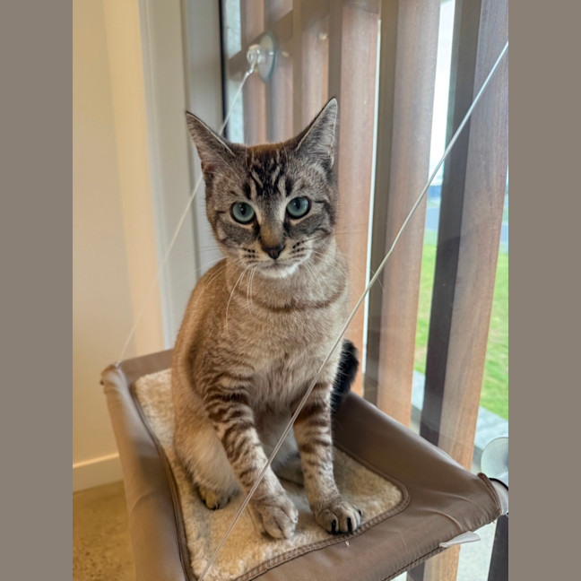 Photo of Tucker