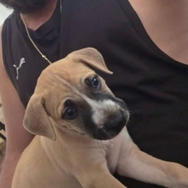 Photo of Theo