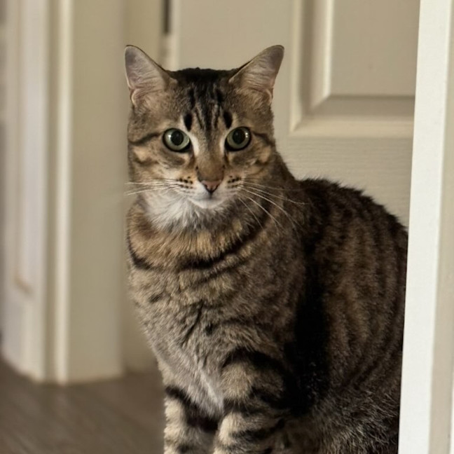 Photo of Kizzie