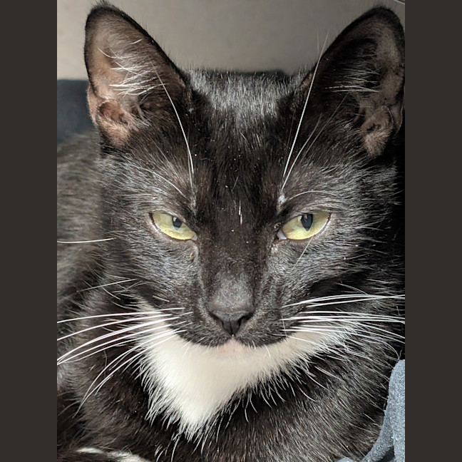 Photo of Minnie