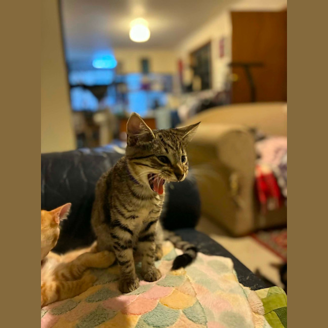 Photo of Aero