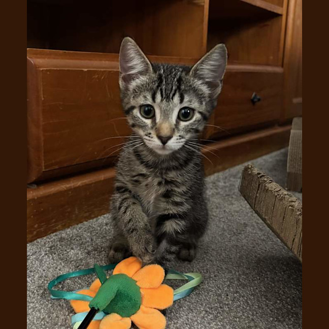 Photo of Cleo