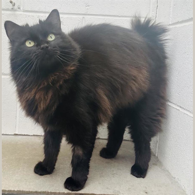 Photo of Alley