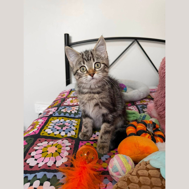 Photo of Berry 