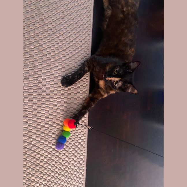 Photo of Nutmeg (With Toffee)