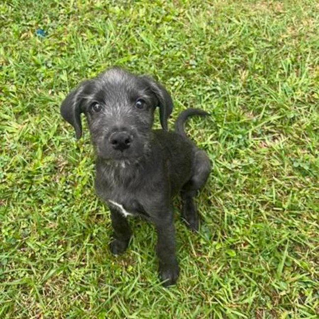 Photo of Stanley