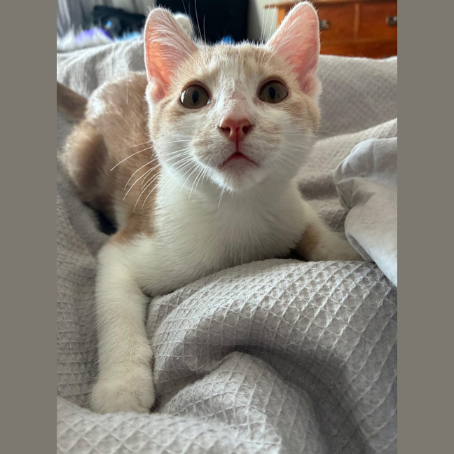 Photo of Aiden