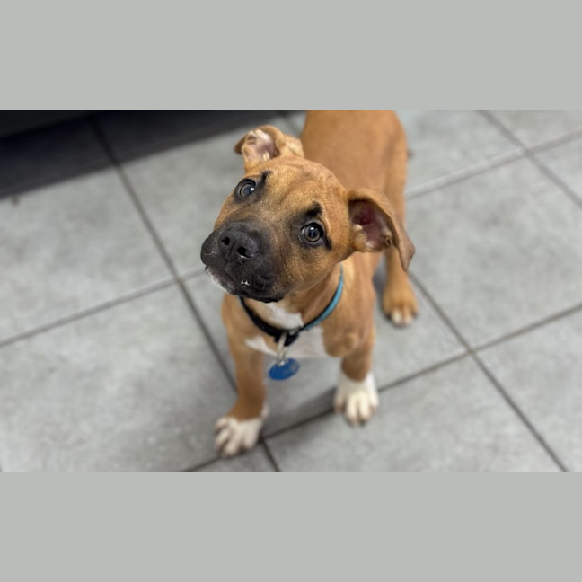 Photo of Ernie