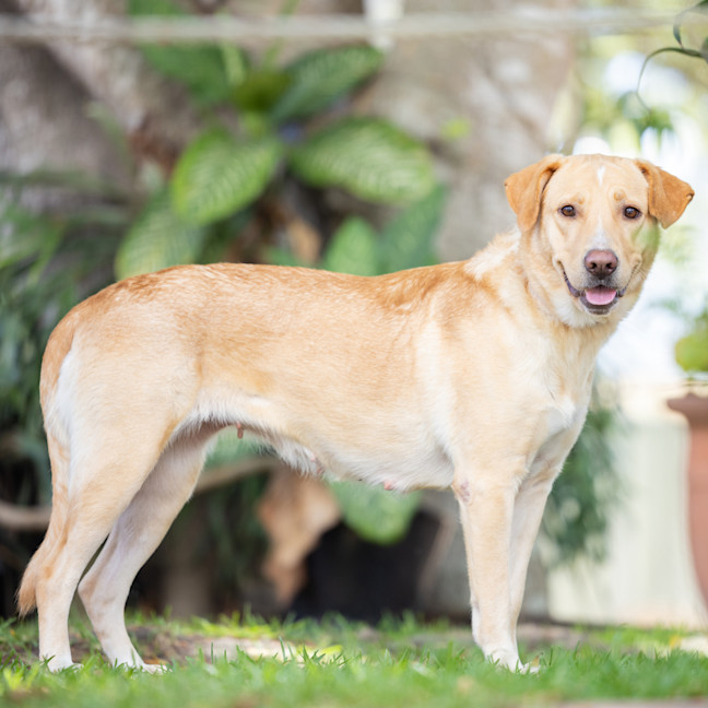 Photo of Sunni (Previously Queen)