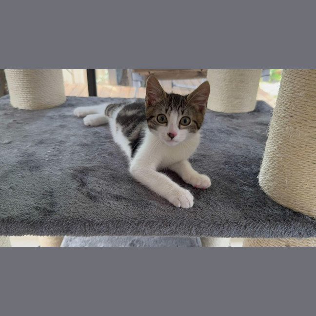 Photo of Hamish