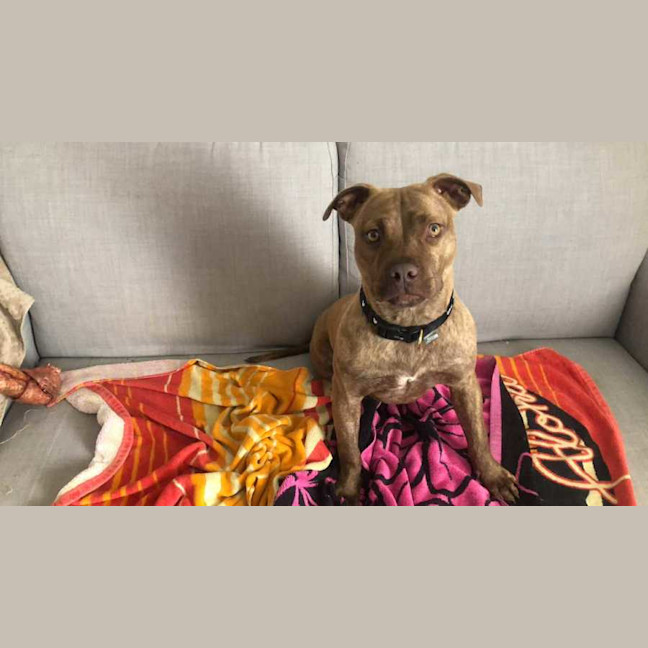 Photo of Milly