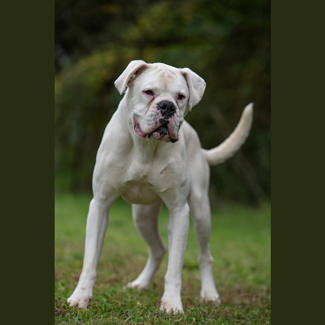 Photo of Beny