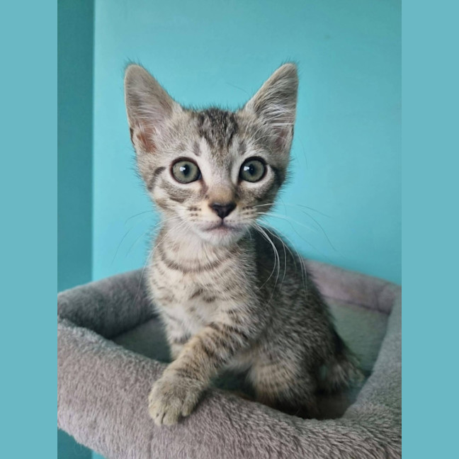 Photo of Calvin