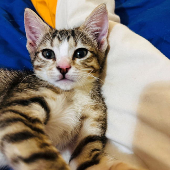 Photo of Gypsyrose