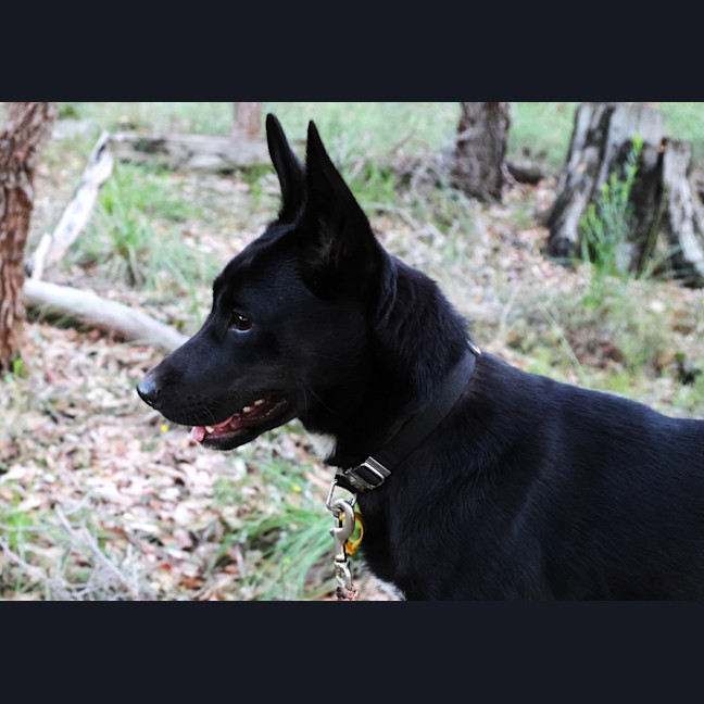 Photo of Sally
