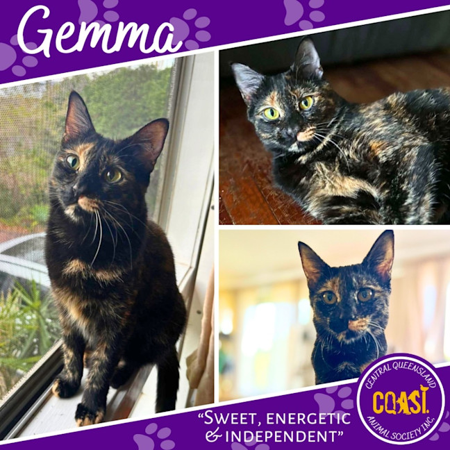 Photo of Gemma