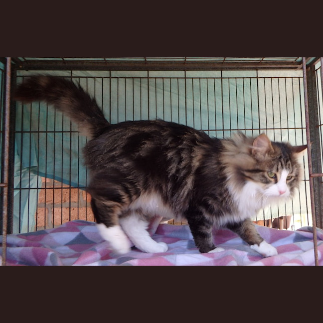 Photo of Hershey And Moses