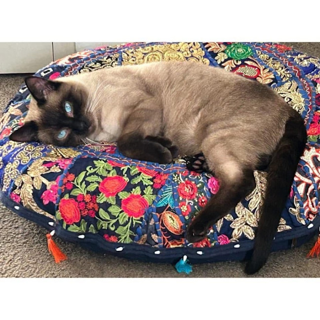 Photo of 11570   Samma