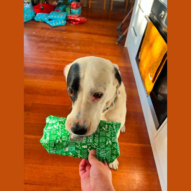 Photo of Max & Axle