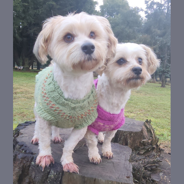 Photo of Cooper And Jessie