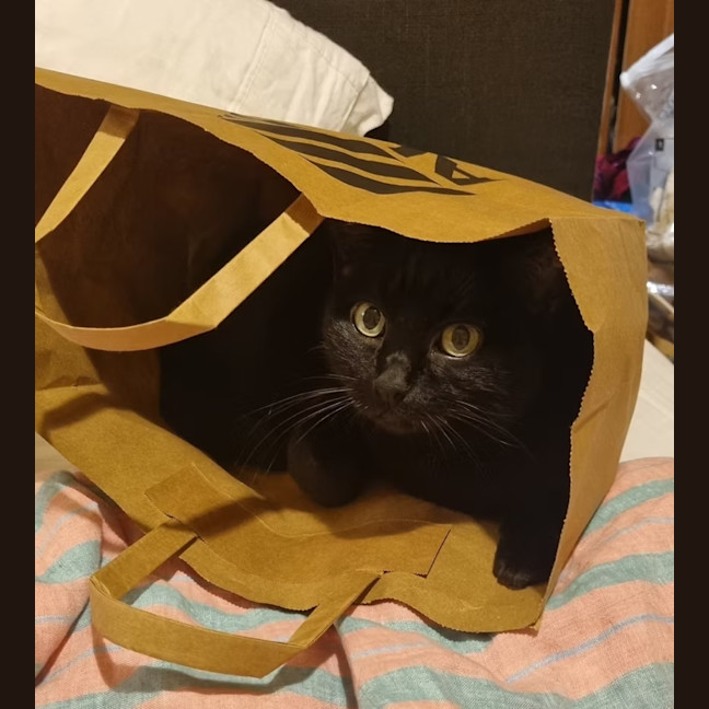 Photo of Mitzi