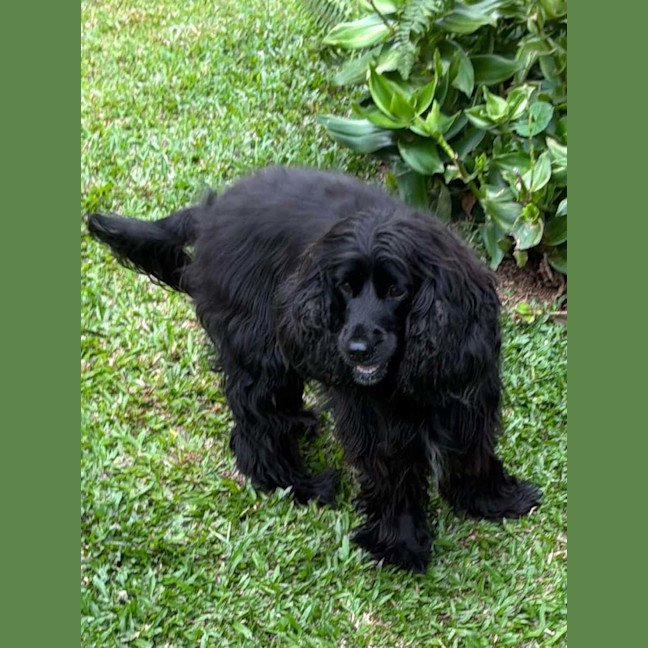 Photo of Ziva