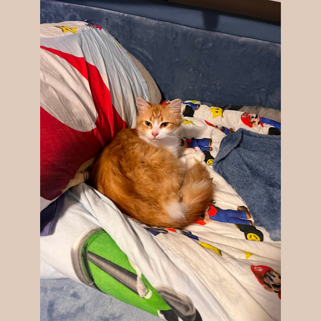 Photo of Macey